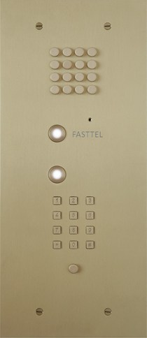 Wizard Bronze gold 2 buttons small keypad and b/w cam